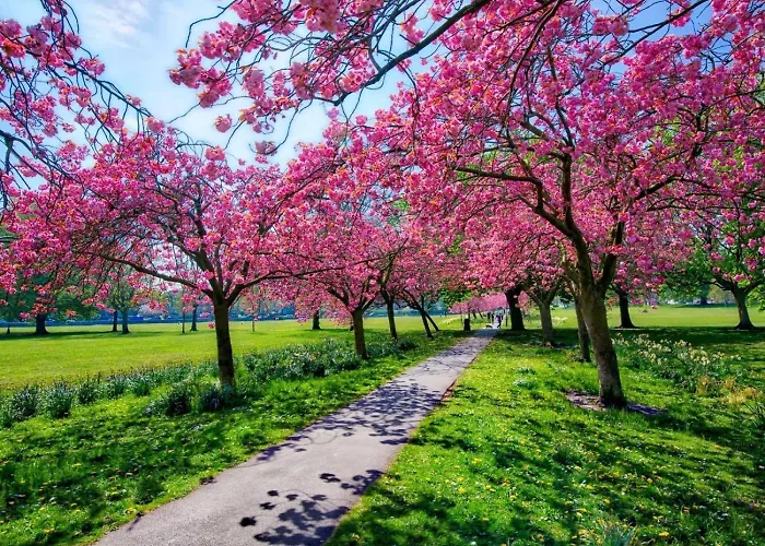 1 Bed In Oc-hh055 * Harrogate